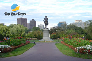 7-Day Boston to New York, Philadelphia, Washington DC and Niagara Falls In-depth Tour with Airport Transfer